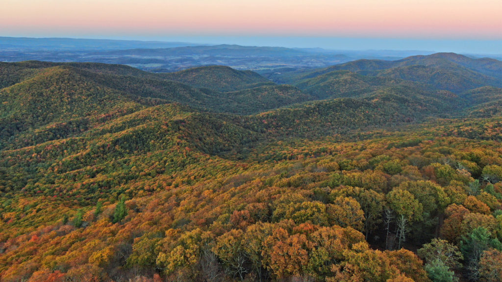 Along the Blue Ridge Parkway | Visit Wytheville, VA