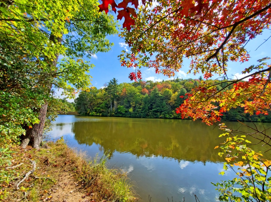 Hale Lake